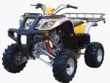 200cc/250cc Bull Sport ATV& Quad (ATV-250E)