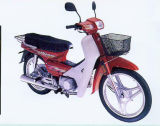 Motorcycle(YX 100-2)