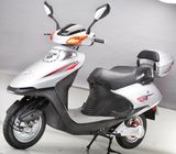 Electric Scooter (YRDM06Z)