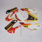 China Cheap 3m Plastic Decals for Klx110 Motorcycle (DS010)