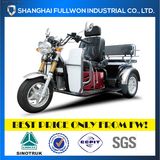 Fl110zk-B Full Luck Three Wheels Passagers Motorcycle