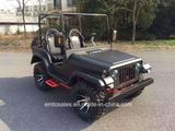 2016 Newest 150cc/200cc 4 Stroke UTV Buggy Car (jeep 2016)