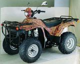 FEec 250cc Atv(R250ST-2)