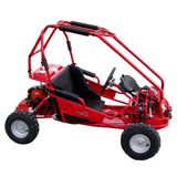 Go Kart (50cc Double Seat With EEC Homologation)