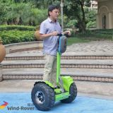 2015 New Two Wheel Stand up Electric Scooter