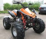 New Generation OEM Quad Bikes