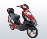 Electric Bike (DSJR000 9)