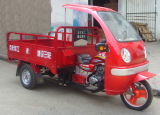 Tricycle with Plain Carbin