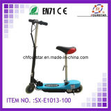 Foldable Electric Scooter (SX-E1013) -100