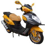 EEC Scooter (HL50QT-35 5)