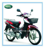 110cc/100cc/70cc/50cc Motorcycle (Cubs)