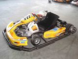 Racing Go Kart