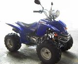 ATV (110CC)