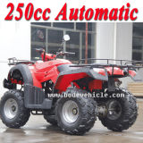New 250cc Bode Automatic Sports ATV Can for Farm ATV Use (MC-356)