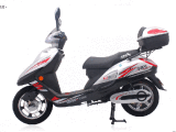 Electric Scooter (QLM-TDR823Z)