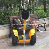 Big Wheels Standing Scooters, 2 Wheel Electric Balancing Scooter