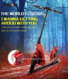 Lightweight Foldable Electric Scooter (JX-MINI) with Unique Patented Design, Seckill All The Two Wheels Self Balance Scooters.