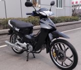 China New Cub Motorcycle  110, 120cc, 125cc