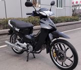 China New Cub Motorcycle  110, 120cc, 125cc