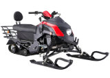 CE Approved 200cc Snowmobile (DMSM200-02)