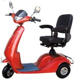 Electric Scooter (DY-E35)