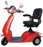 Electric Scooter (DY-E35)