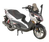 Scooter (TS150T-8) (DOT)