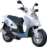 Gasoline Motorcycle (MS1254EEC)