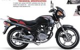 Motorcycle(FY150-3)