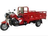 Three Wheel Passenger Motorcycle