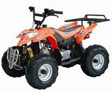 110CC ATV (T-110G)