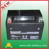 12V8ah Ytx9-BS-Mf Maintenance Free Motorcycle Battery