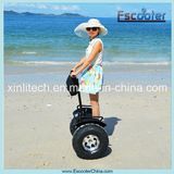 China 2015 The Latest Personal Self Balancing 2 Seat Mobility Scooter Electric Chariot Scooter