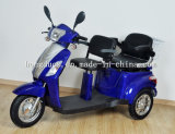 Import China Two Seats Electric Scooters 3 Wheel for Handicapped People