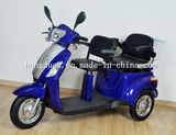 Import China Two Seats Electric Scooters 3 Wheel for Handicapped People