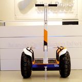 Folding Adult 2 Wheel Balance Electric Scooter