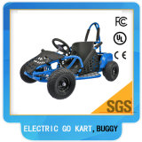 1000W Electric Go Kart, Mini Go Kart for Kids (TBG01 1000W)