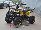 Stable Quality Electric Quad for Sale (EA0508-B)
