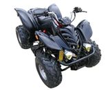 ATV 125CC (SF-A-06)