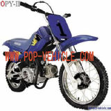 EPA Dirt bike DB90PY-II-P(EPA)