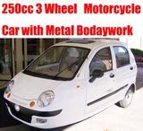 3 Wheel Motorcycle (SWTM250)