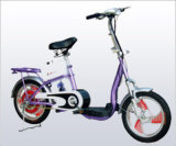 Electric Scooters (DSJR0013)