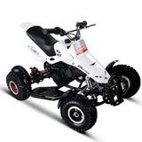 Mini ATV (QDOI)