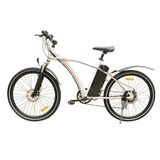 Electric Bike (MTL-TDE02Z)