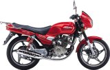 Motorcycle (FK125-4 JieBao)
