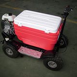 Racing Cooler Scooter (SX-G110)