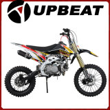 Upbeat 125cc Cheap Dirt Pit Bike Crf110 Style