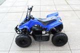 350W Electric ATV Electric Car Electric Quad for Kids Mini Electric ATV for Kids Cheap for Sale Kids Electric ATV