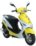 Scooter (BD50QT-6)