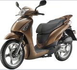 EEC Cub Scooter 300cc 300t-19